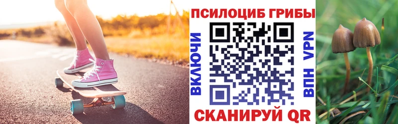 Галлюциногенные грибы Psilocybe  kraken   Новоалександровск 