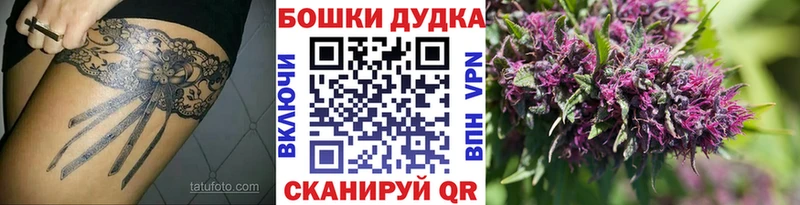 ОМГ ОМГ сайт  Новоалександровск  Бошки Шишки White Widow 